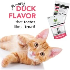 VetriScience Probiotic Everyday Duck Flavored Soft Chews Digestive Supplement For Cats -Meow Meals 98134 PT2. AC SS1800 V1659635067