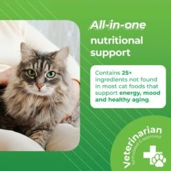 VetriScience Nu Cat Senior Soft Chews Multivitamin For Cats 8 VetriScience Nu Cat Senior Soft Chews Multivitamin For Cats -Meow Meals 98147 PT1. AC SS1800 V1468337649