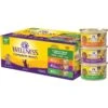 Wellness Complete Health Chicken & Turkey Pate Favorites Variety Pack Grain-Free Wet Cat Food, 3-oz Can, Case Of 12 -Meow Meals 984630 MAIN. AC SS1800 V1699642703
