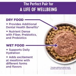 Wellness Complete Health Chicken & Turkey Pate Favorites Variety Pack Grain-Free Wet Cat Food, 3-oz Can, Case Of 12 -Meow Meals 984630 PT5. AC SS1800 V1699642702