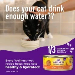 Wellness Complete Health Seafood Pate Favorites Variety Pack Grain-Free Wet Cat Food, 3-oz Can, Case Of 12 -Meow Meals 984646 PT3. AC SS1800 V1699642707