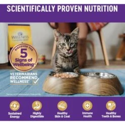 Wellness Complete Health Seafood Pate Favorites Variety Pack Grain-Free Wet Cat Food, 3-oz Can, Case Of 12 -Meow Meals 984646 PT4. AC SS1800 V1699642707