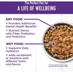Wellness Complete Health Chicken & Turkey Lovers Gravies & Minced Variety Pack Grain-Free Wet Cat Food, 3-oz Can, Case Of 12 -Meow Meals 984662 PT5. AC SS1800 V1699642704