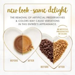 Fancy Feast Senior 7+ Chicken, Beef & Tuna Feasts Variety Pack Canned Cat Food & Purina ONE Indoor Advantage Senior 7+ High Protein Natural Dry Cat Food -Meow Meals 986446 PT3. AC SS1800 V1698672270