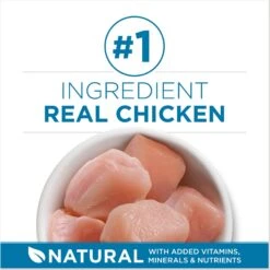 Fancy Feast Senior 7+ Chicken, Beef & Tuna Feasts Variety Pack Canned Cat Food & Purina ONE Indoor Advantage Senior 7+ High Protein Natural Dry Cat Food -Meow Meals 986446 PT8. AC SS1800 V1698672268