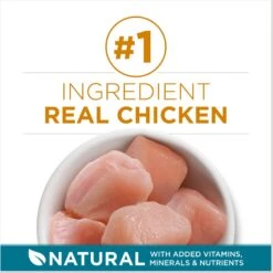 Purina ONE Tender Selects Blend With Real Chicken Dry Cat Food & Purina ONE True Instinct Turkey, Chicken & Tuna Variety Pack Canned Cat Food -Meow Meals 986462 PT4. AC SS1800 V1698672267