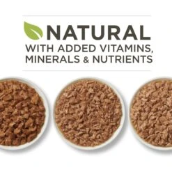 Purina ONE Tender Selects Blend With Real Chicken Dry Cat Food & Purina ONE True Instinct Turkey, Chicken & Tuna Variety Pack Canned Cat Food -Meow Meals 986462 PT7. AC SS1800 V1698672723