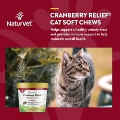 NaturVet Cranberry Relief Plus Echinacea Soft Chews Urinary Supplement For Cats -Meow Meals 99409 PT3. AC SS1800 V1698693733