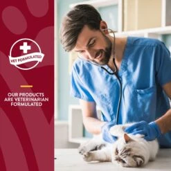 NaturVet Cranberry Relief Plus Echinacea Soft Chews Urinary Supplement For Cats -Meow Meals 99409 PT5. AC SS1800 V1698694964