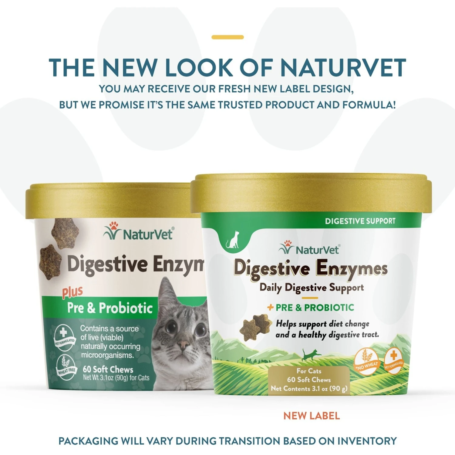 NaturVet Digestive Enzymes Plus Probiotic Soft Chews Digestive Supplement For Cats 4 NaturVet Digestive Enzymes Plus Probiotic Soft Chews Digestive Supplement For Cats - Image 2