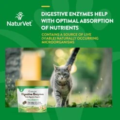 NaturVet Digestive Enzymes Plus Probiotic Soft Chews Digestive Supplement For Cats 14 NaturVet Digestive Enzymes Plus Probiotic Soft Chews Digestive Supplement For Cats -Meow Meals 99410 PT3. AC SS1800 V1698696351