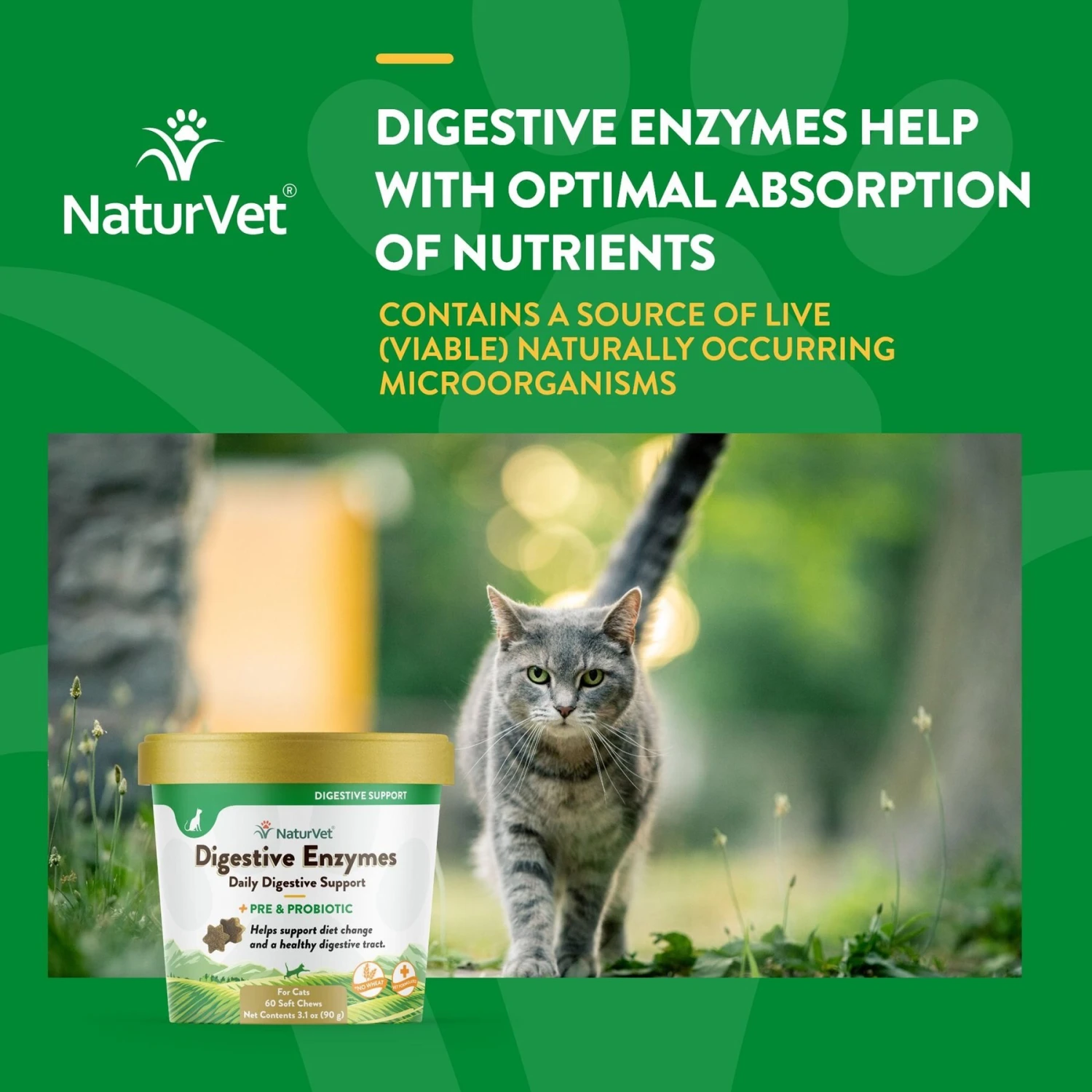 NaturVet Digestive Enzymes Plus Probiotic Soft Chews Digestive Supplement For Cats 6 NaturVet Digestive Enzymes Plus Probiotic Soft Chews Digestive Supplement For Cats - Image 4