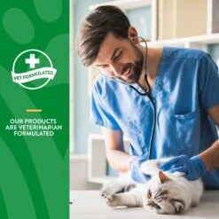 NaturVet Digestive Enzymes Plus Probiotic Soft Chews Digestive Supplement For Cats 16 NaturVet Digestive Enzymes Plus Probiotic Soft Chews Digestive Supplement For Cats -Meow Meals 99410 PT5. AC SS1800 V1698693790