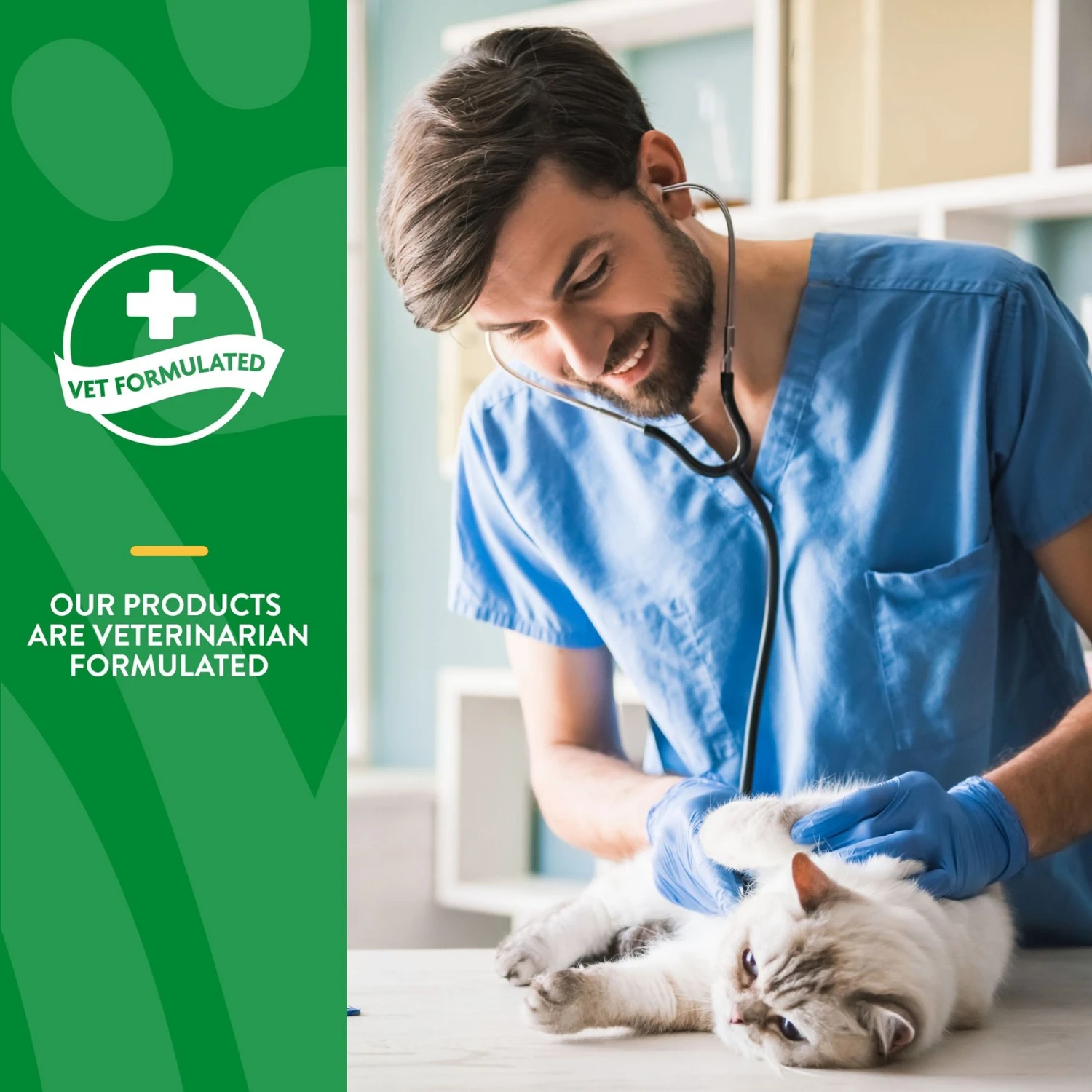 NaturVet Digestive Enzymes Plus Probiotic Soft Chews Digestive Supplement For Cats 8 NaturVet Digestive Enzymes Plus Probiotic Soft Chews Digestive Supplement For Cats - Image 6