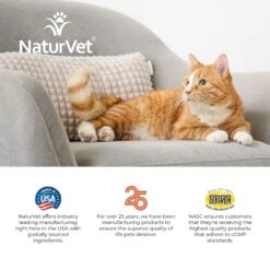 NaturVet Digestive Enzymes Plus Probiotic Soft Chews Digestive Supplement For Cats 19 NaturVet Digestive Enzymes Plus Probiotic Soft Chews Digestive Supplement For Cats -Meow Meals 99410 PT8. AC SS1800 V1698694347