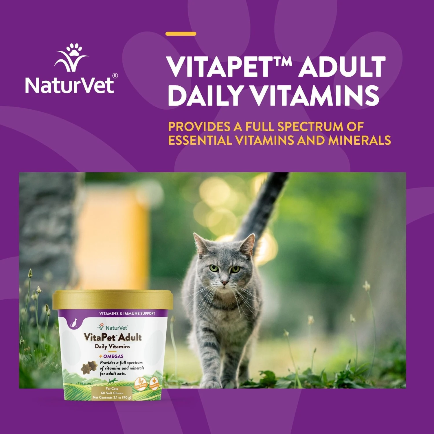 NaturVet VitaPet Adult Plus Omegas Soft Chews Multivitamin For Cats 6 NaturVet VitaPet Adult Plus Omegas Soft Chews Multivitamin For Cats - Image 4