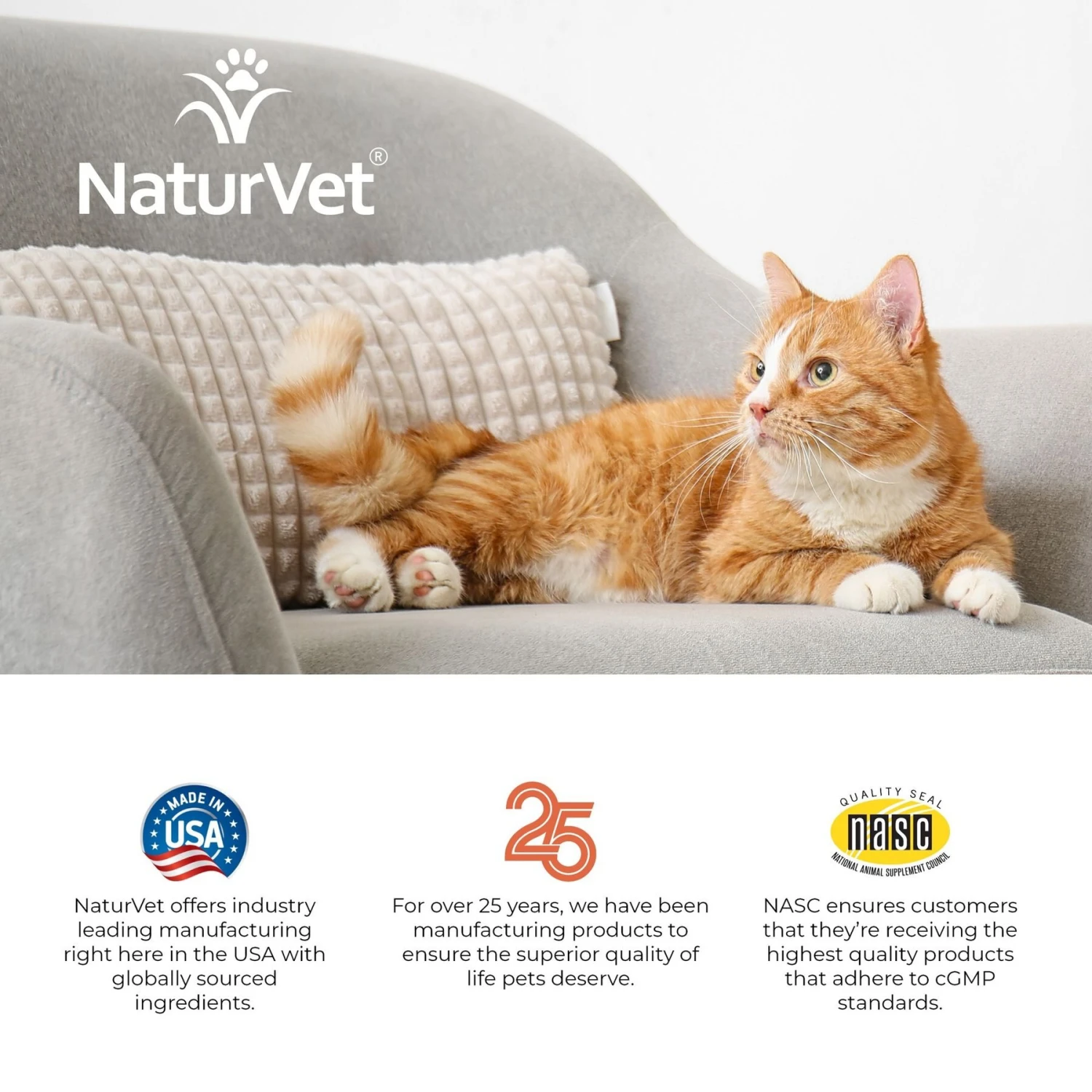 NaturVet VitaPet Adult Plus Omegas Soft Chews Multivitamin For Cats 11 NaturVet VitaPet Adult Plus Omegas Soft Chews Multivitamin For Cats - Image 9